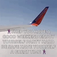 Southwest Airlines Plane Flying GIF