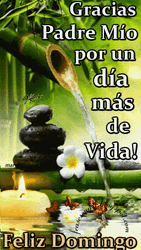 Spa Calmness Feliz Domingo Digital Design GIF