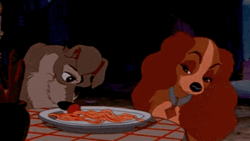 Spaghetti Meatballs Sharing GIF