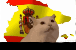 Spain Roaring Cat GIF