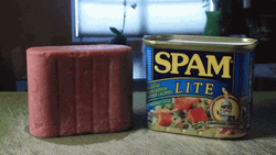 Spam Lite Spinning GIF