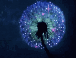 Sparkles Glowing Dandelion In The Night GIF
