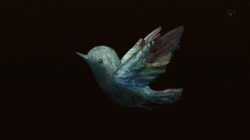 Sparkling Bird Flying GIF