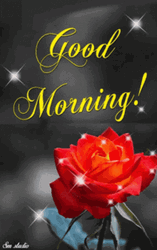 Sparkling Good Morning Roses GIF