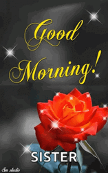 Sparkling Good Morning Sister GIF