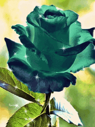 Sparkling Green Rose