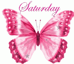 Sparkling Pink Butterfly GIF