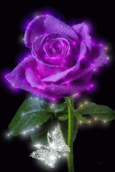 Sparkling Purple Rose And Butterfly