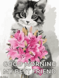 Special Good Morning Best Friend GIF