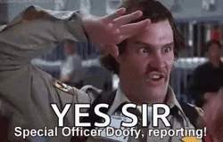 Special Officer Doofy Salute Major Payne GIF