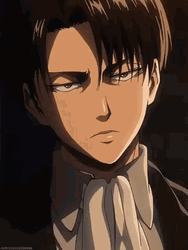 Special Operations Squad Captain Levi Ackerman GIF
