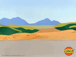Sped Up Chase Roadrunner Looney Tunes GIF