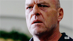 Speechless Hank Schrader GIF