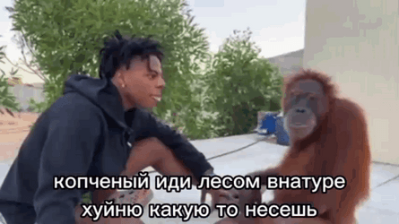 Speed Talking To Monkey Ishowspeed Meme GIF