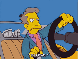 Speeding The Simpsons Principal Skinner GIF