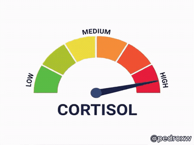 Speedometer Showing Cortisol GIF