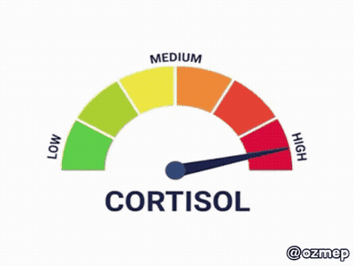 Speedometer With Cortisol Text GIF