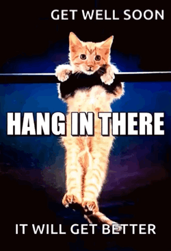 Speedy Recovery Get Well Soon Cute Cat  GIF