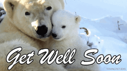 Speedy Recovery Get Well Soon Polar Bear GIF