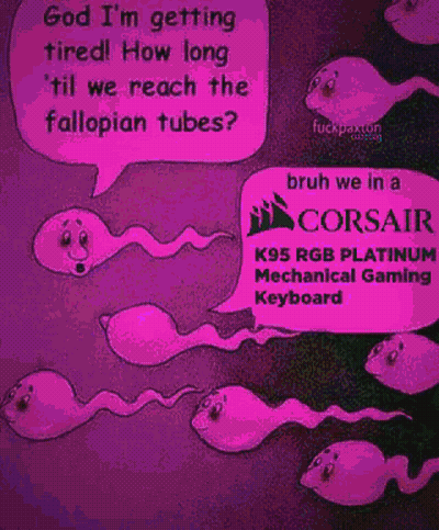 Sperm Talking About Corsair Keyboards GIF