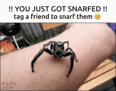 Spider Crawling On Arm You Just Got Snarfed GIF