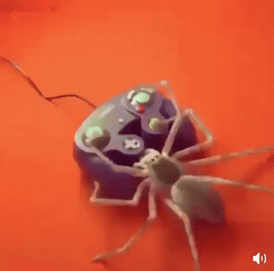 Spider Crawling On Video Game Controller GIF