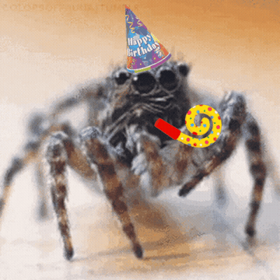 Spider in Party Hat Saying Happy Birthday