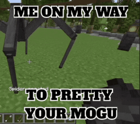 Spider in Video Game With Me on My Way to Pretty Your Mogu