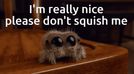 Spider Jumpscare Don't Squish Me I'm Really Nice GIF