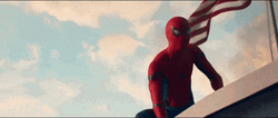 Spider Man 2099 Posing Under US Flag GIF