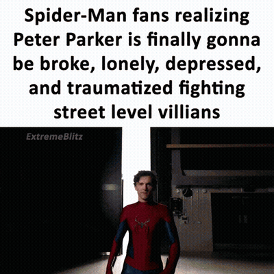 Spider-Man Fans Realizing Peter Parker Is Finally Gonna Be Broke Lonely Depressed And Traumatized Fighting Street Level  GIF