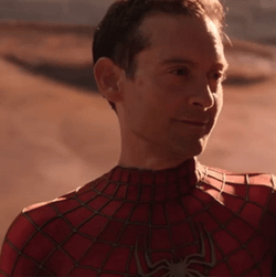 Spider Man Sudden Disappear On Multiverse Meme GIF
