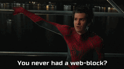 Spider Man You Never Had Web-Block GIF