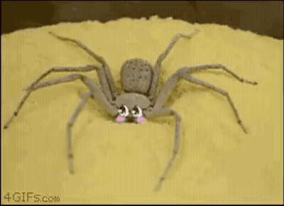 Spider On Sandpile With Smiley Face GIF