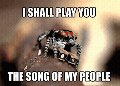 Spider Playing Drums Song Of My People GIF