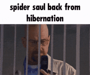 Spider Saul Hibernation GIF