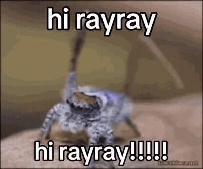Spider Saying Hi Rayray GIF