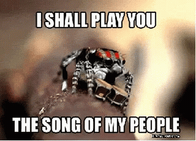Spider Saying I Shall Play You Song GIF