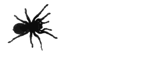 Spider Silhouette Sticker