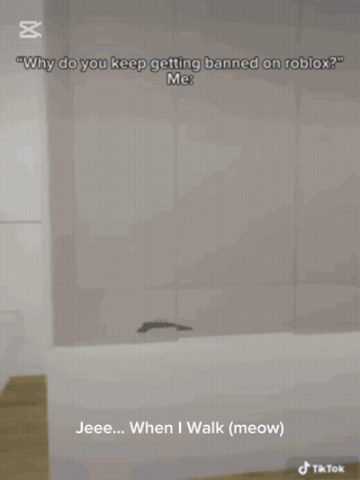 Spider Silhouetted Saying Why Banned Roblox Me GIF