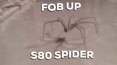 Spider With Words Fob Up S80 Spider GIF