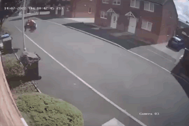 Spiderman Balloon On Cam Meme GIF