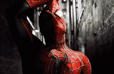 Spiderman Costume Close-Up With Spider On Back GIF