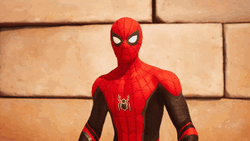 Spiderman Costume Meme GIF
