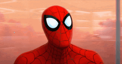 Spiderman Face Palm GIF