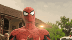 Spiderman Putting Shades On Meme GIF