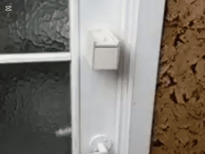 Spiders Jumping And Dropping GIF