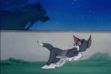 Spike Chasing Tom In Tom And Jerry Cartoon GIF