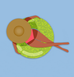 Spin The Floaties GIF