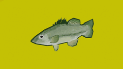 Spinning Animated Fish Yellow Backdrop GIF